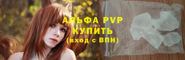 стафф Каменка
