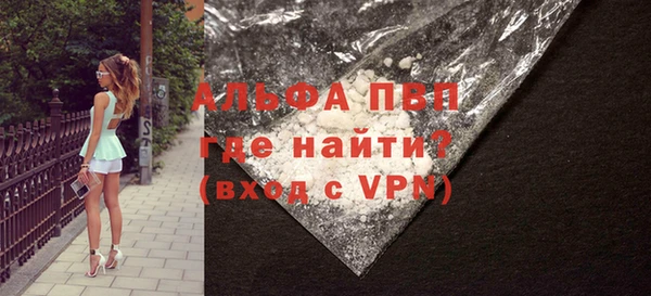 PSILOCYBIN Каменногорск