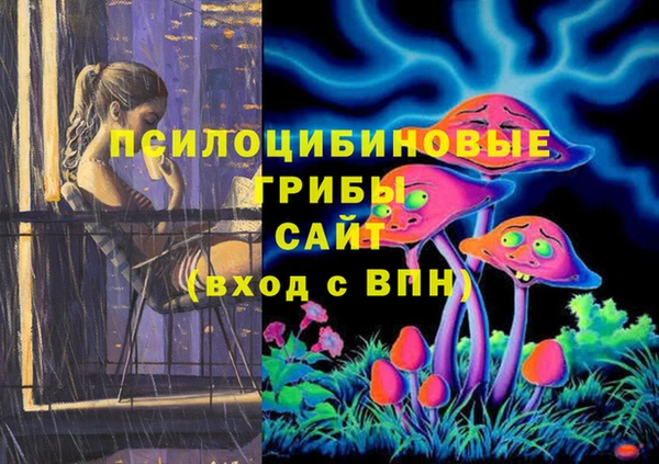 PSILOCYBIN Каменногорск