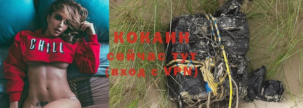стафф Каменка