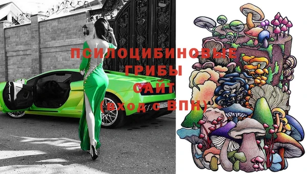 PSILOCYBIN Каменногорск