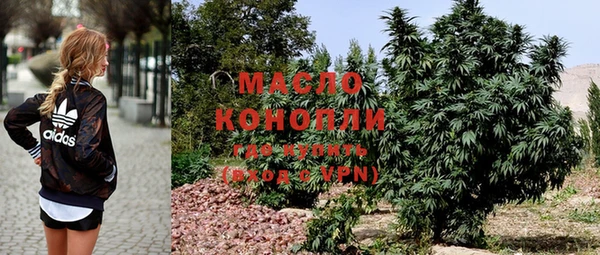 стафф Каменка