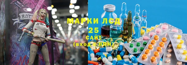 стафф Каменка